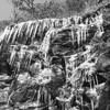tbuchanan0122